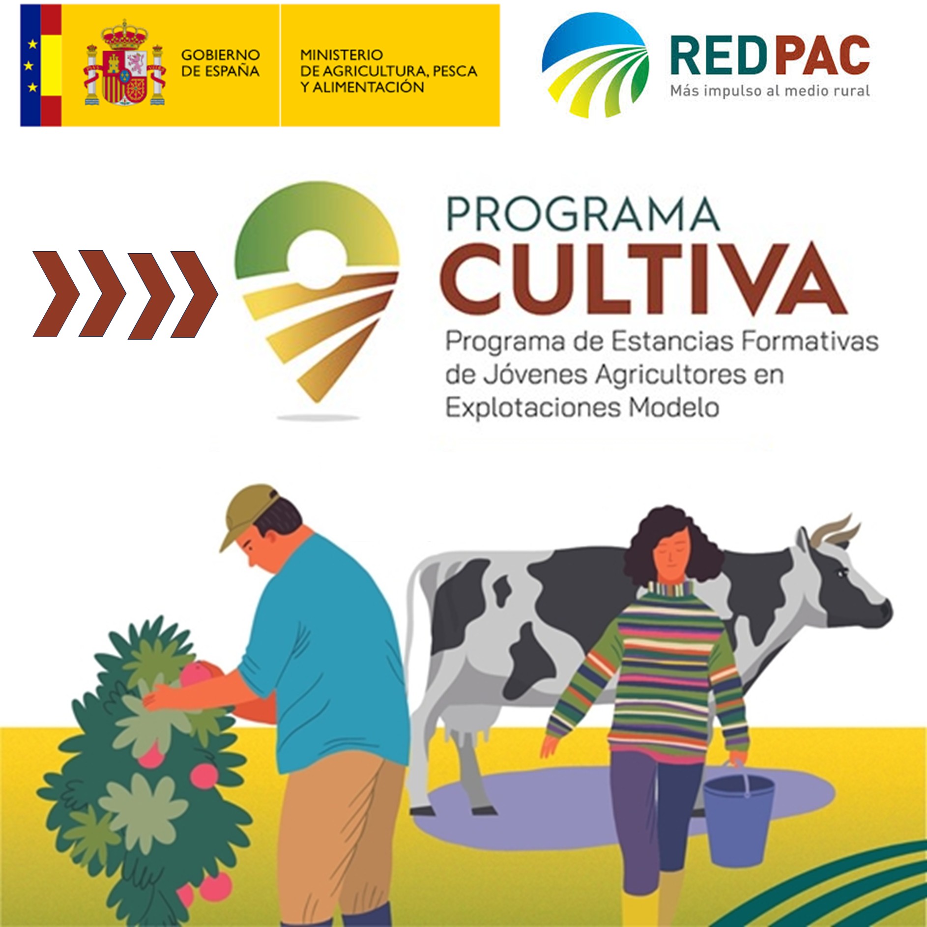 https://www.agricolascentro.org/Adjuntos/COITAC/Documentos/Informaciones/ad9fa7e4-fd0b-4f5e-b34f-88faf1563122/Cabecera/programaCultiva.jpg