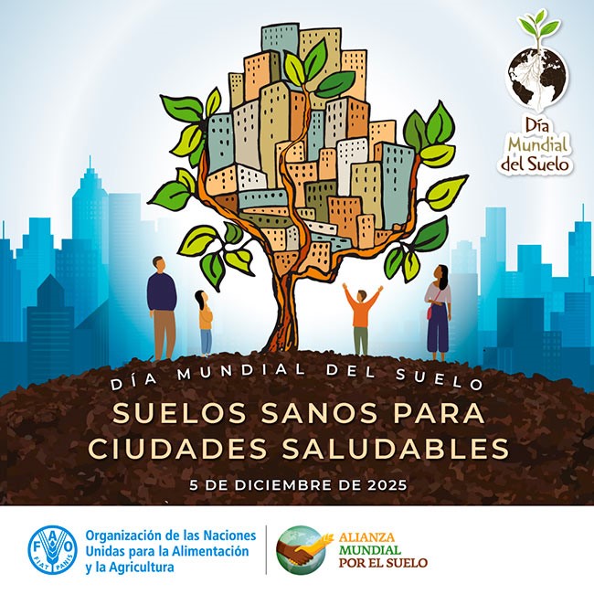 Cartel 2025 Día Mundial del Suelo